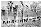 Muzeum Auschwitz na Facebook, porady, overclocking