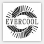 Stylowa podstawka ch�odz�ca od Evercool, porady, overclocking