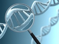 DNA w s�u�bie cyberpolicjantom