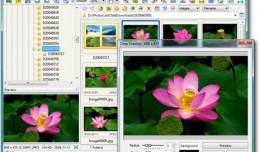faststoneimageviewer