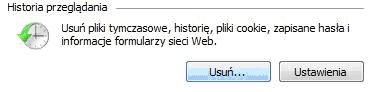 Internet Explorer, historia przeglądania stron