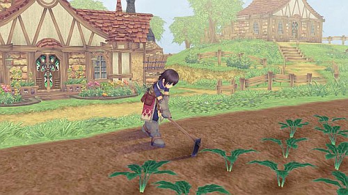 Rune Factory Frontier WII, gry WII