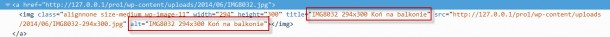 dodanie IMG i TITLE obrazki WordPress