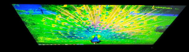 DSC 0206 610x169 DSC 0206