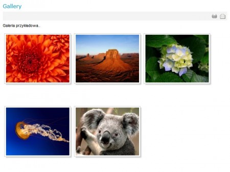 galeria Joomla, wstawianie galerii Joomla, obrazki Joomla