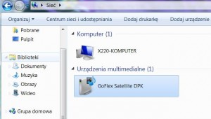 goflex dysk sieciowy